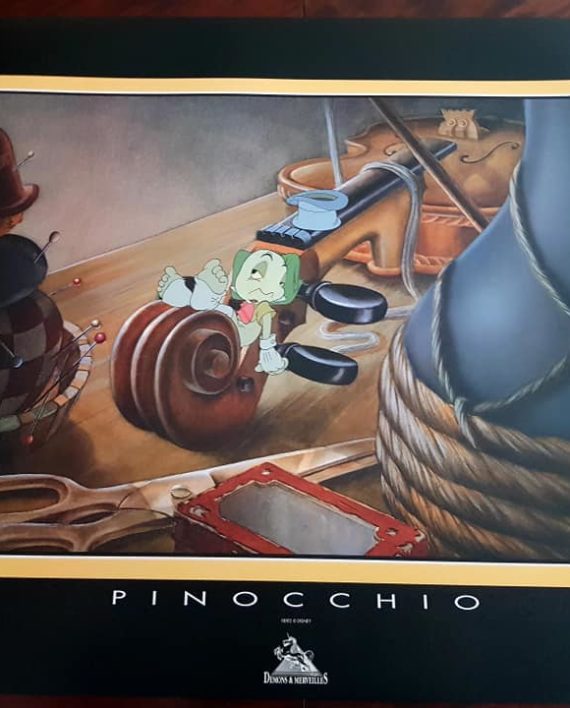 44650957_2242536989103443_2221556818650333184_n