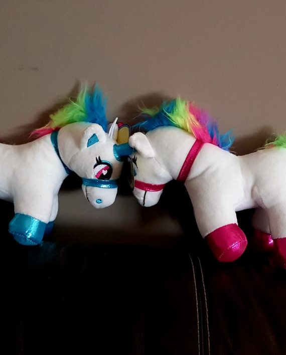 46514065_2289903424366799_1441468673251344384_o