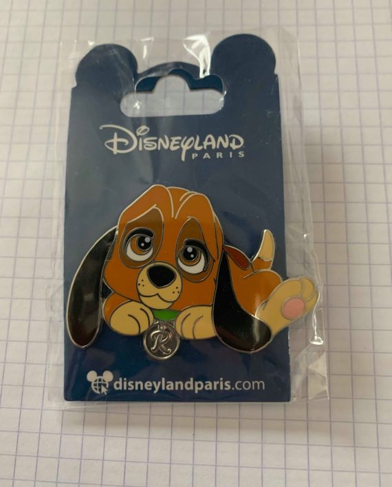 57079802_1546309548834918_75963523196256256_n