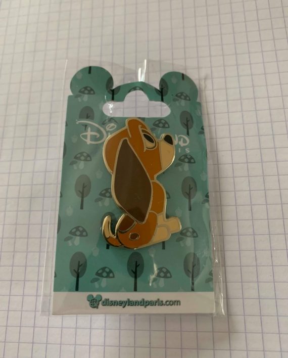 57277904_2244501542547036_2959859794162221056_n