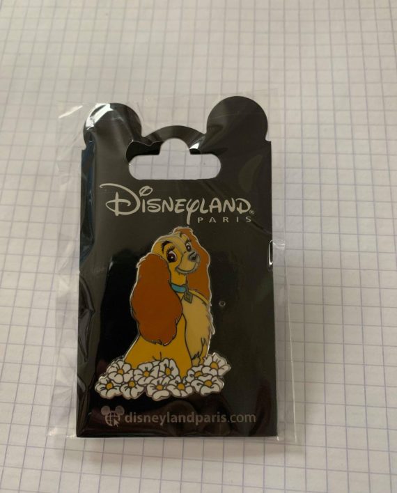 57415289_1011187445753560_8245147605458223104_n