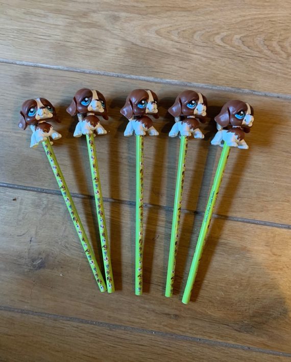 69643500_1265755503586490_5248939782242828288_n