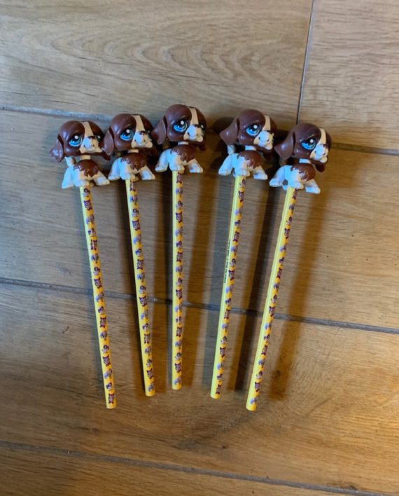 70371807_900470063669923_7930492597636694016_n